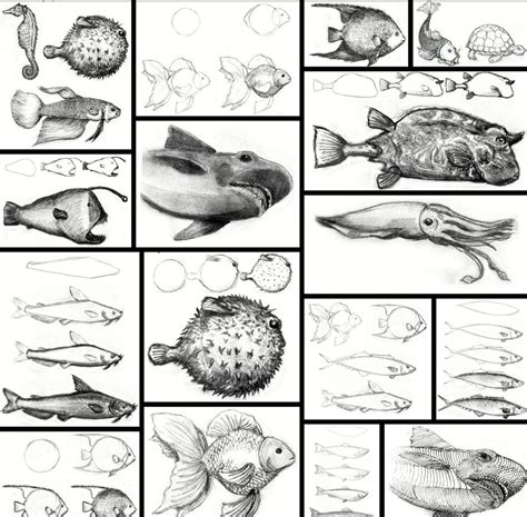 Learn How to Draw Aquatic Animals .